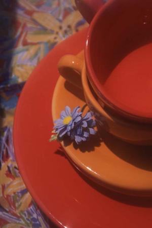 使用済み下着の通販方法について